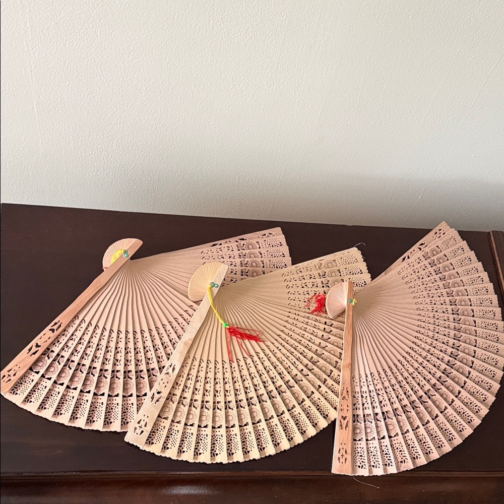 Elegant Tan Hand Fan Set